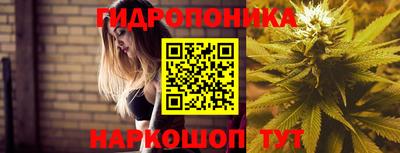 стафф Малоярославец