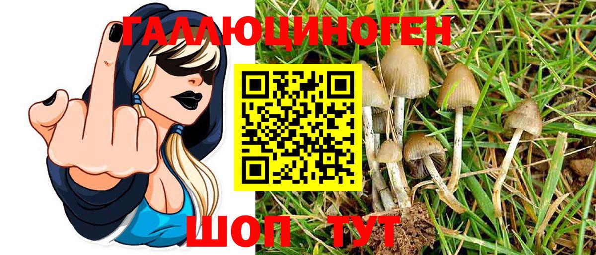 Димитровград  Псилоцибиновые грибы MAGIC MUSHROOMS  Вход с VPN  Псилоцибиновые грибы Cubensis 